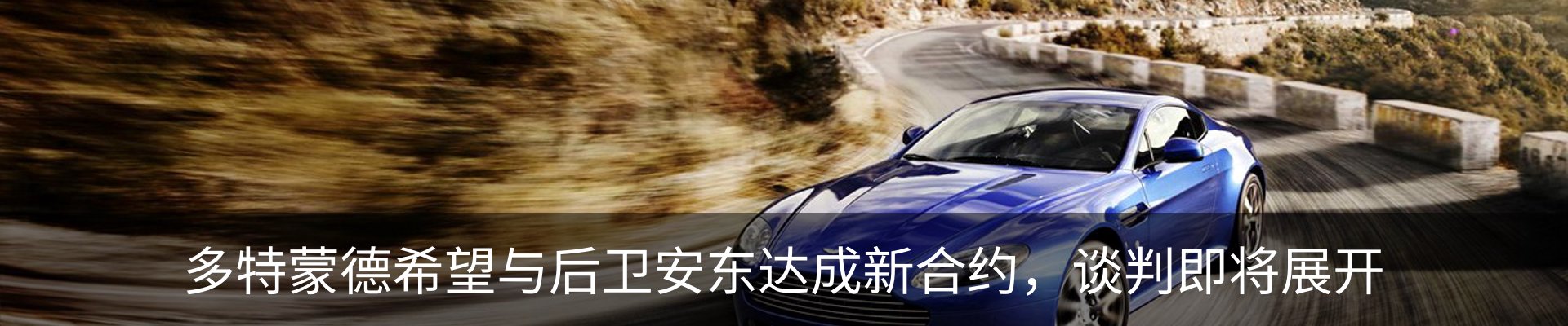 新闻动态
